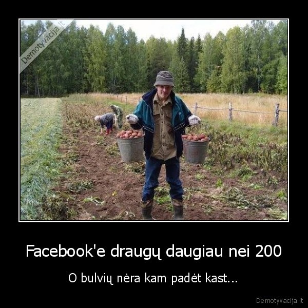 facebook, draugai,bulviu, kasimas