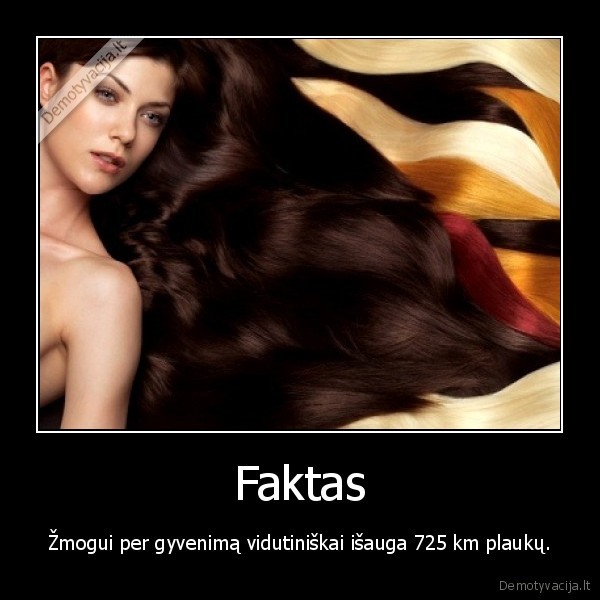 Faktas