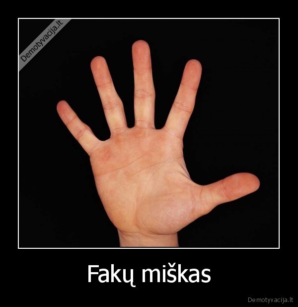 Fakų miškas