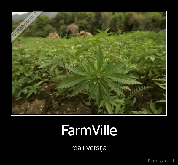 FarmVille