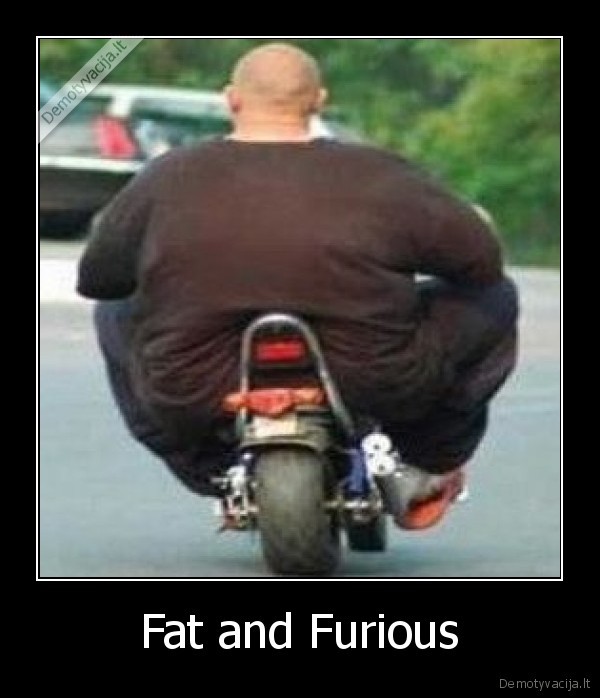 Fat and Furious