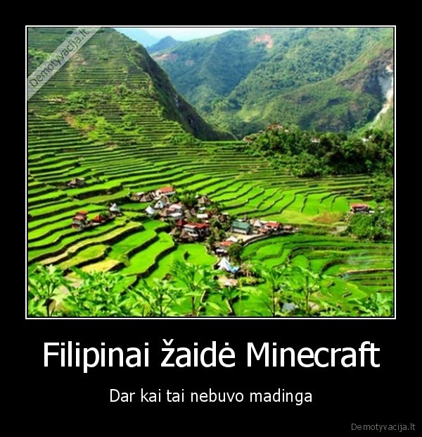 minecraft,ryziu, laukai