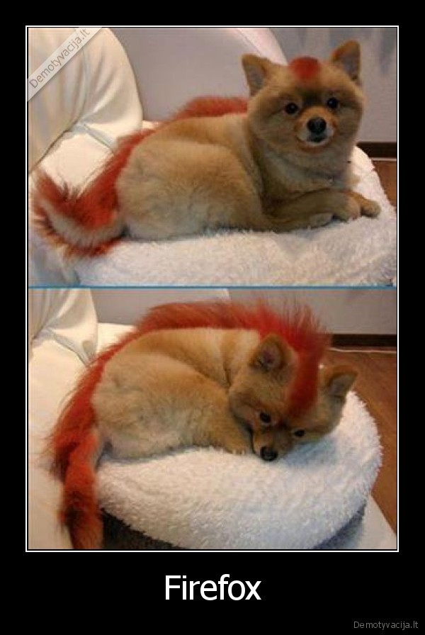 Firefox