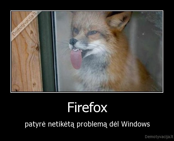 firefox,lape,langas,windows
