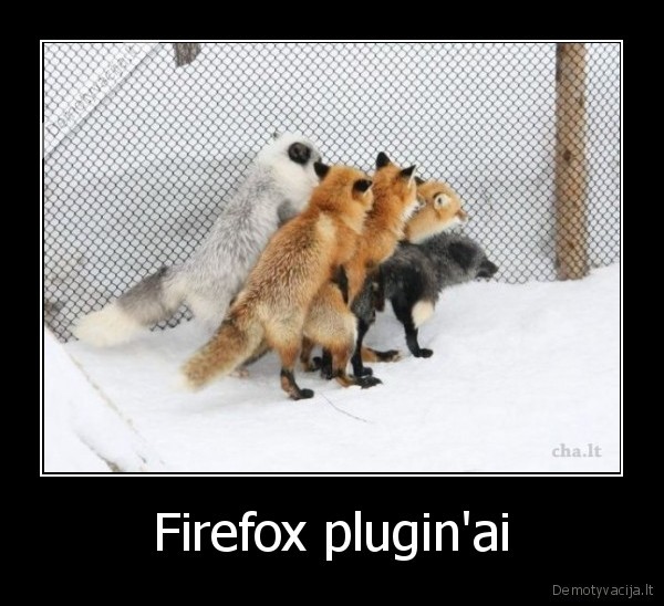 firefox, plugin