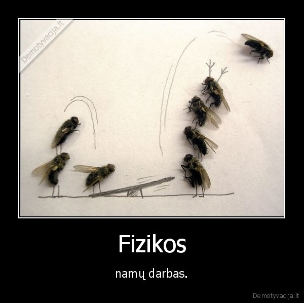 fizika,namu, darbas,nd,mokykla