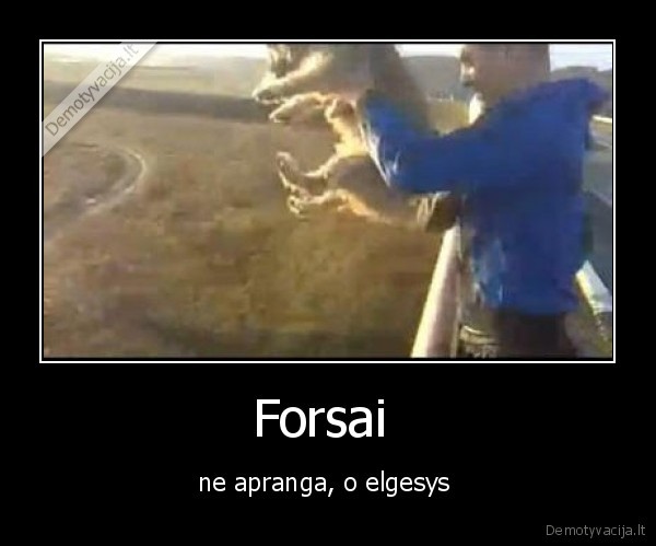 Forsai 