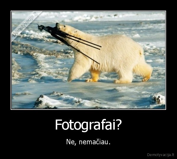 lolkys,baltas,fotgrafas