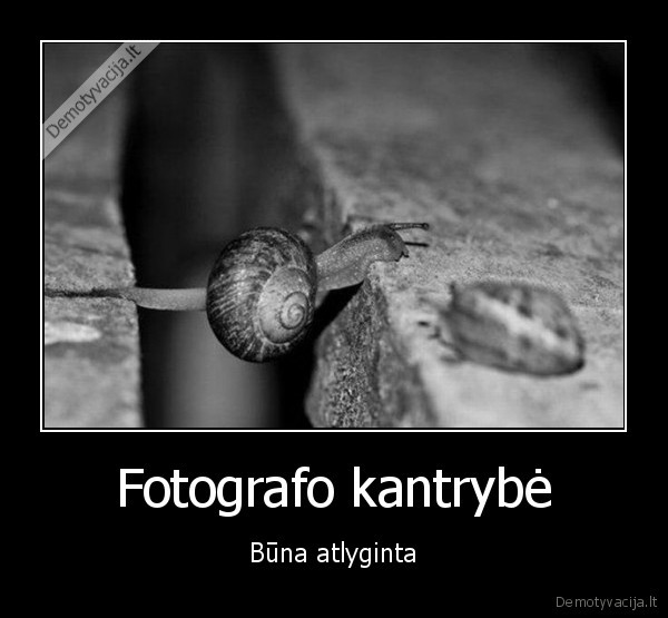 Fotografo kantrybė