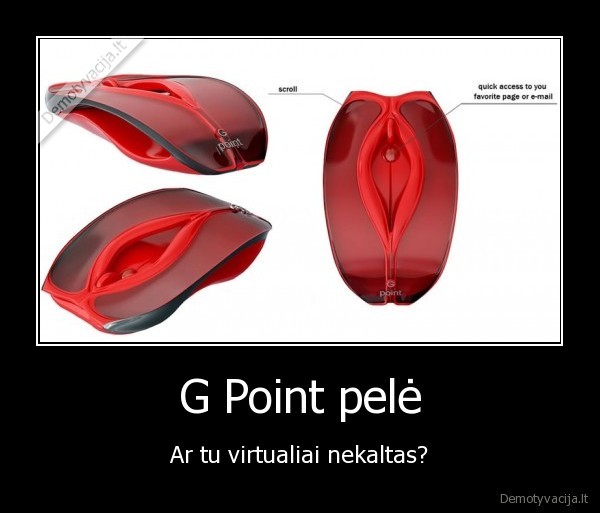 G Point pelė