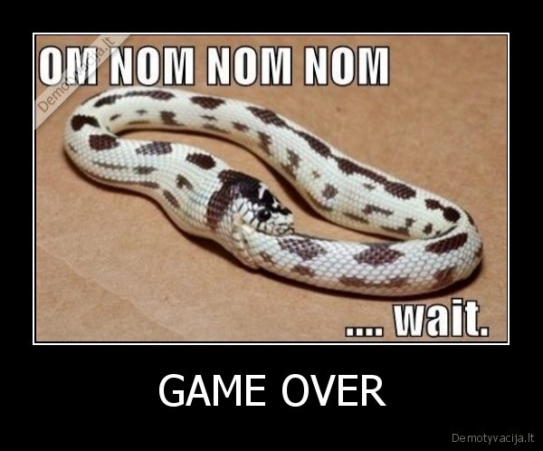 game, over,snake