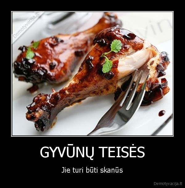 GYVŪNŲ TEISĖS