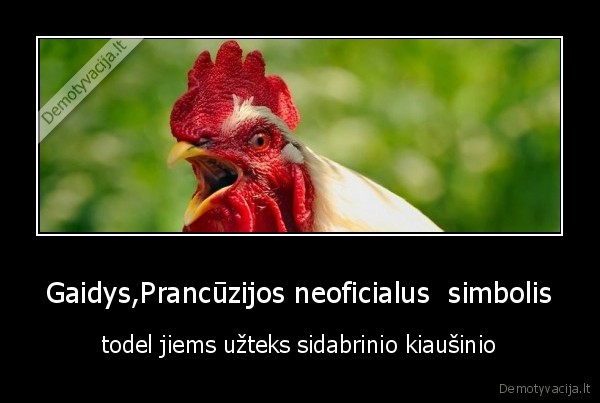 gaidys,prancuzija,krepsinis