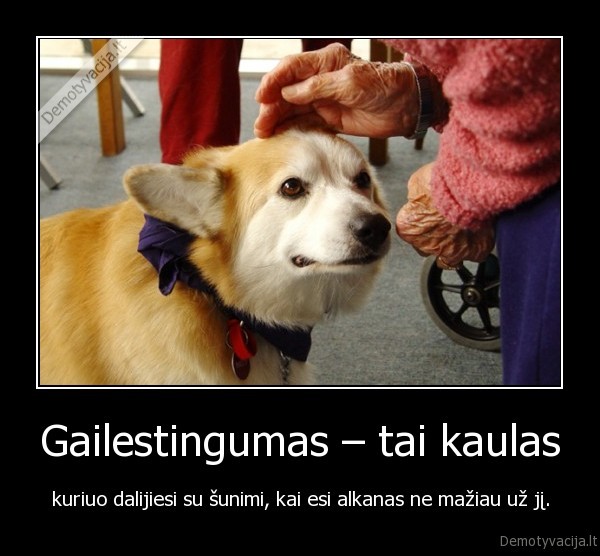 Gailestingumas – tai kaulas