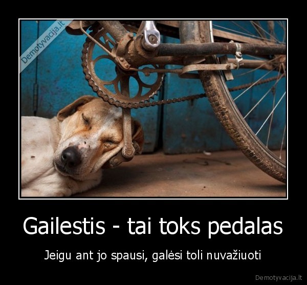 Gailestis - tai toks pedalas