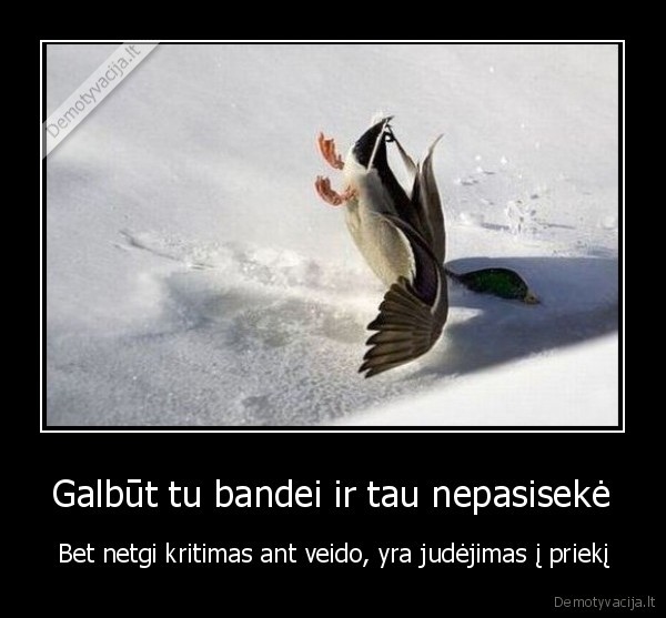 Galbūt tu bandei ir tau nepasisekė