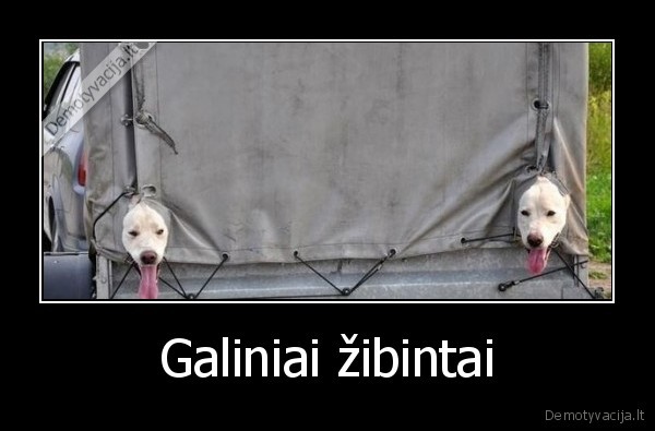 Galiniai žibintai