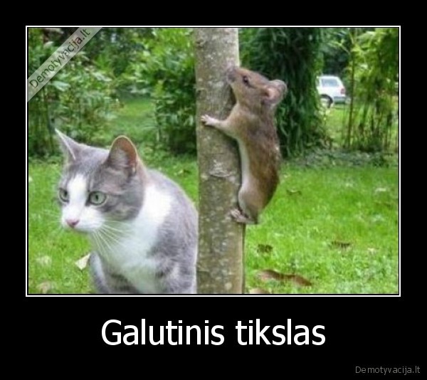 Galutinis tikslas