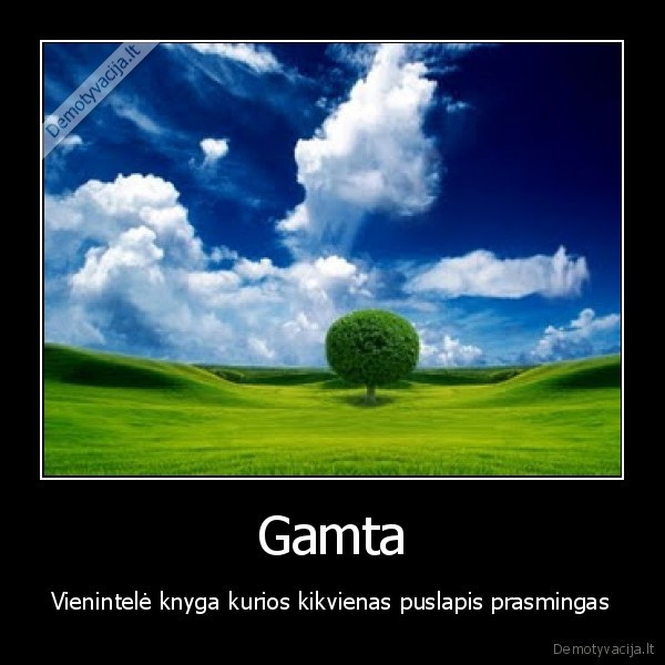 Gamta