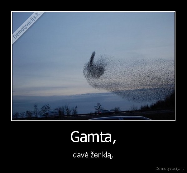 gamta,zenklas