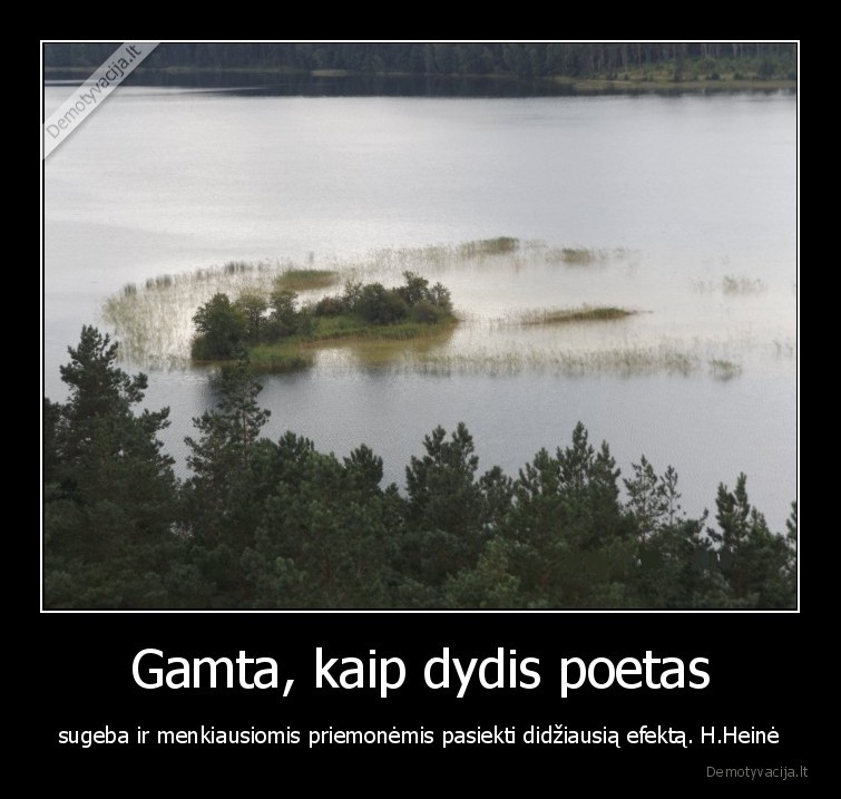 gamta,grozis,poetas