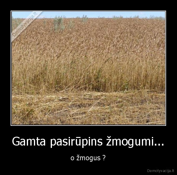 Gamta pasirūpins žmogumi...