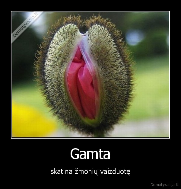 Gamta