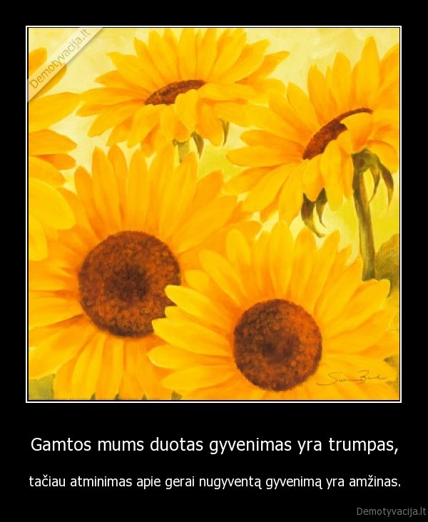 gyvenimas,trumpas,duotas,mums,amzinas,nugyventa