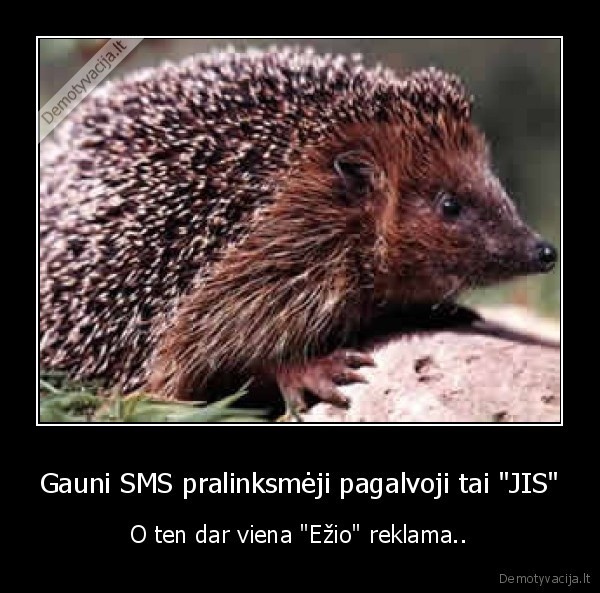 Gauni SMS pralinksmėji pagalvoji tai &quot;JIS&quot;