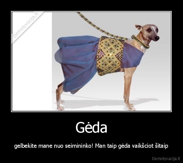 Gėda