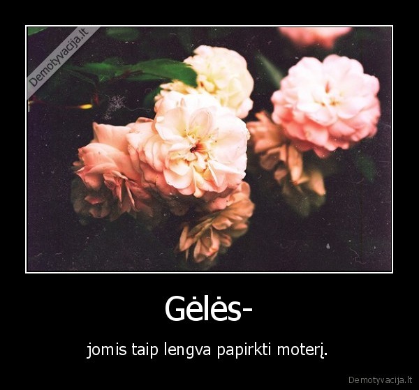 Gėlės-