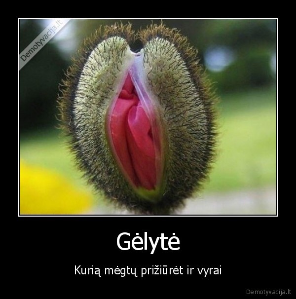 Gėlytė