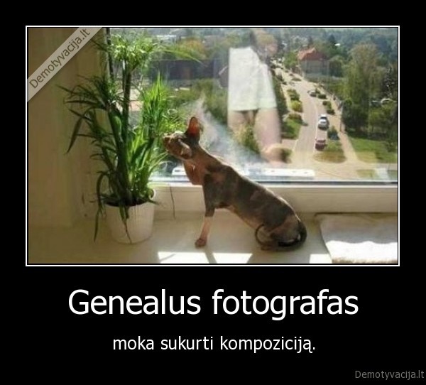 Genealus fotografas