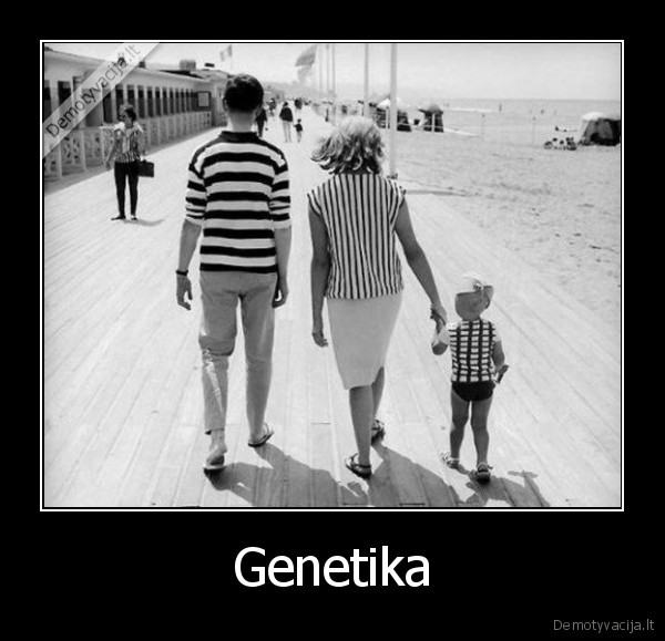 Genetika