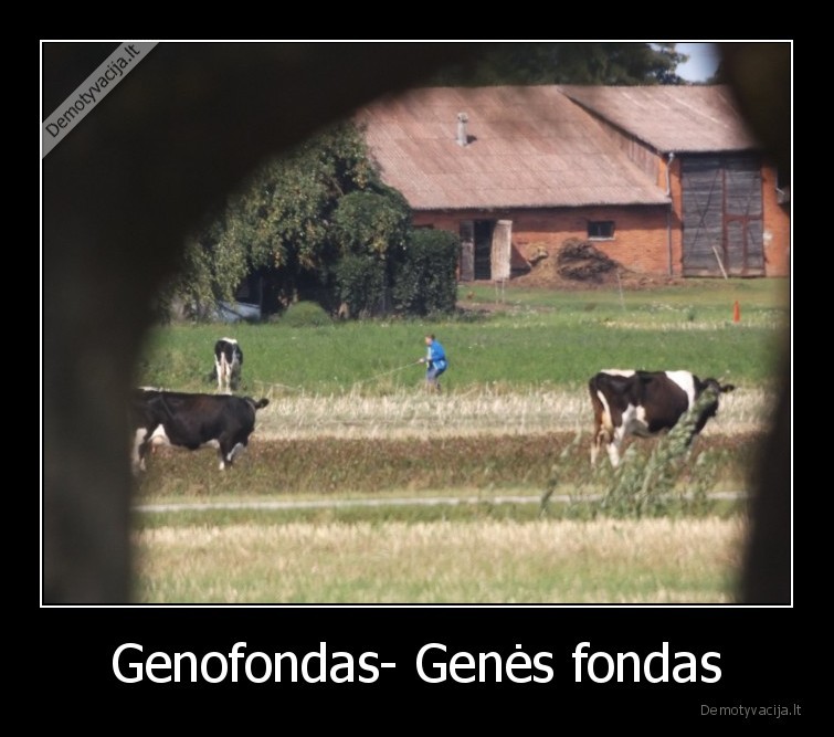 genofondas,genai,medicina