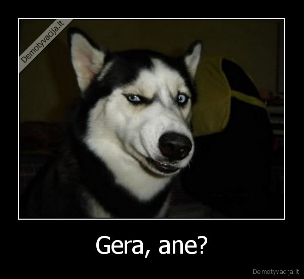 Gera, ane?