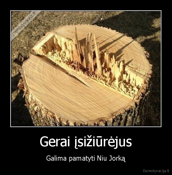 Gerai įsižiūrėjus