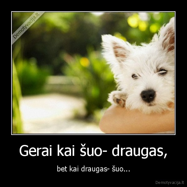 Gerai kai šuo- draugas,