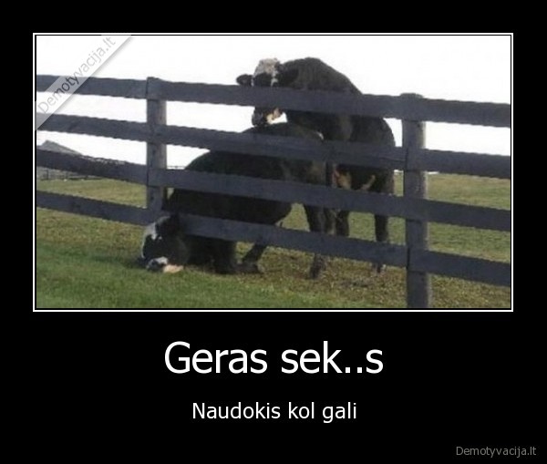 Geras sek..s