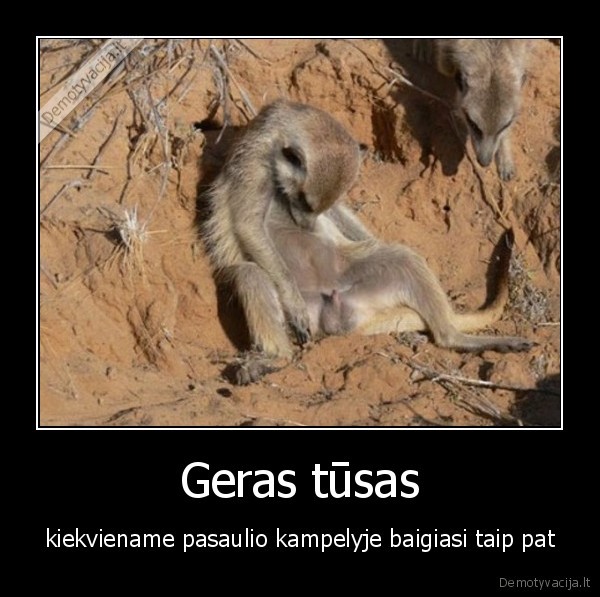 Geras tūsas