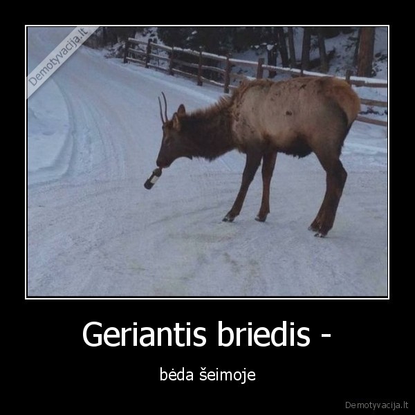 briedis,gerti