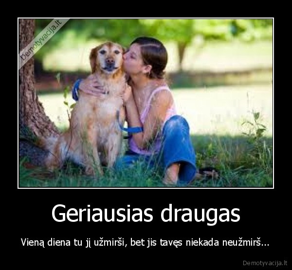 suo, geriausias, draugas