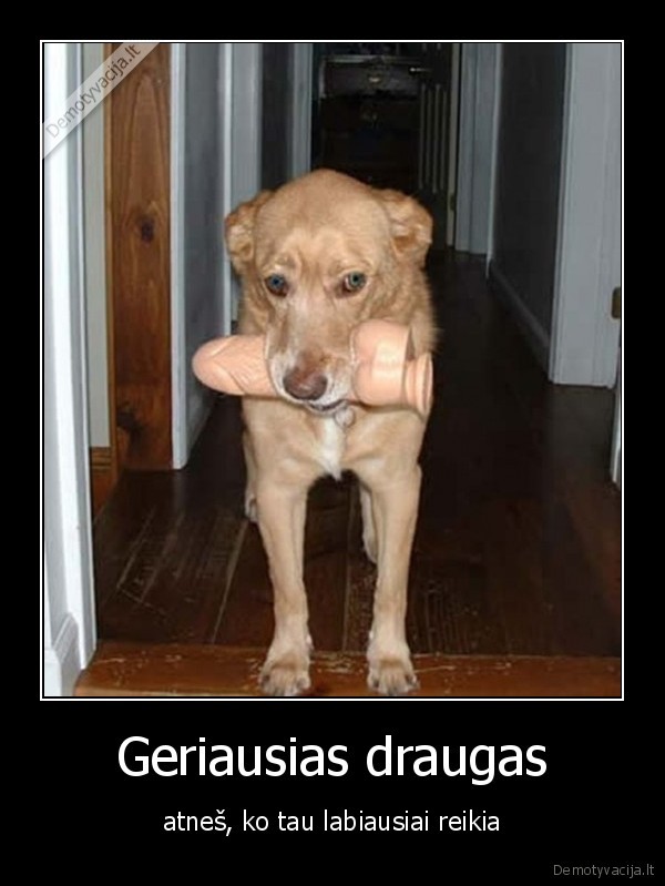 Geriausias draugas