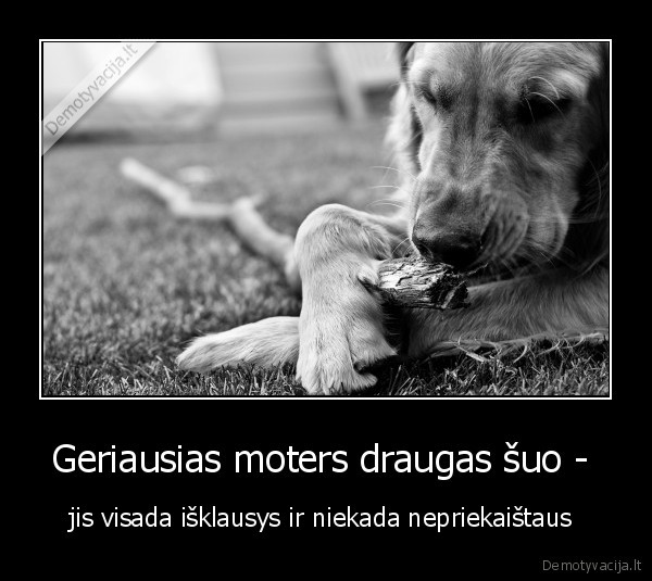 Geriausias moters draugas šuo - 