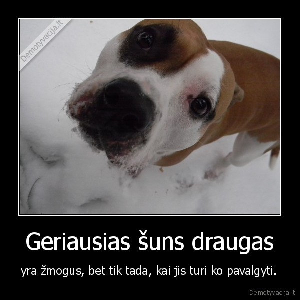 Geriausias šuns draugas