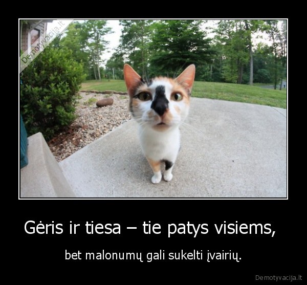 Gėris ir tiesa – tie patys visiems, 