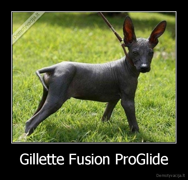 Gillette Fusion ProGlide