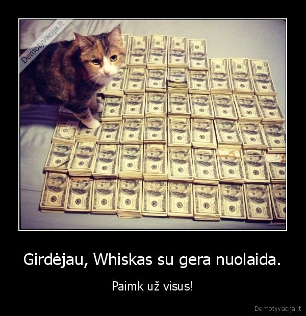 Girdėjau, Whiskas su gera nuolaida.