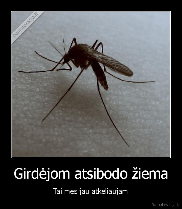 Girdėjom atsibodo žiema