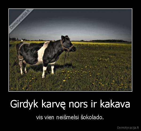 Girdyk karvę nors ir kakava